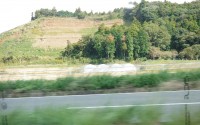 DSCF0485